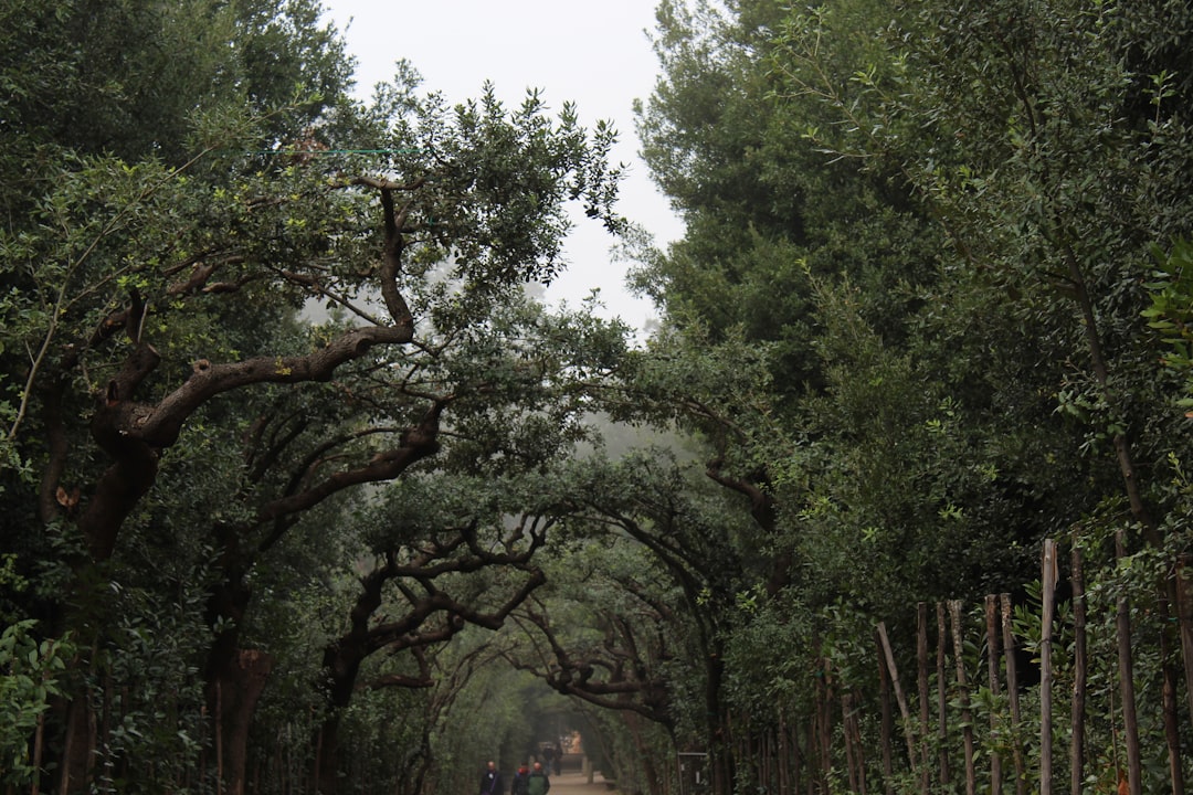柳州网站建设桂林企业必读：如何选择专业的网站设计服务商