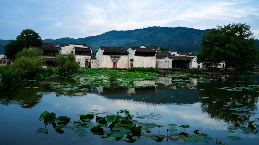 柳州本地网站建设服务商选择指南：如何找到靠谱的网站设计公司