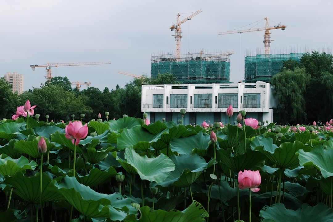 玉林专业网站建设公司怎么选？机械制造企业建站指南