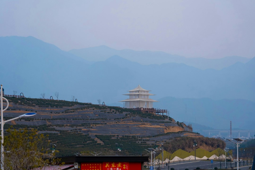 百色佛山网络推广：最新变化与实操要点